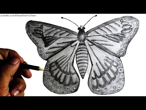 How To Draw A Butterfly For Kids - Step By Step Pencil Drawing With Narration.