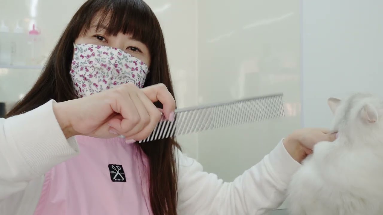 Deep Stab コームⅣ | 一般社団法人 キャットグルーマー協会