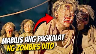 Dahil Sa Kagat Ng Pusa Naging Zombies Sila At Mabilis Kumalat | Movie Recap Tagalog