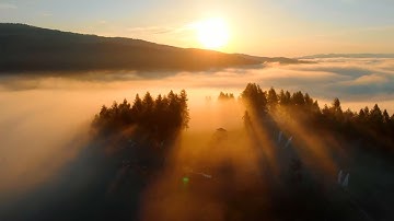 Helping banks reach net zero