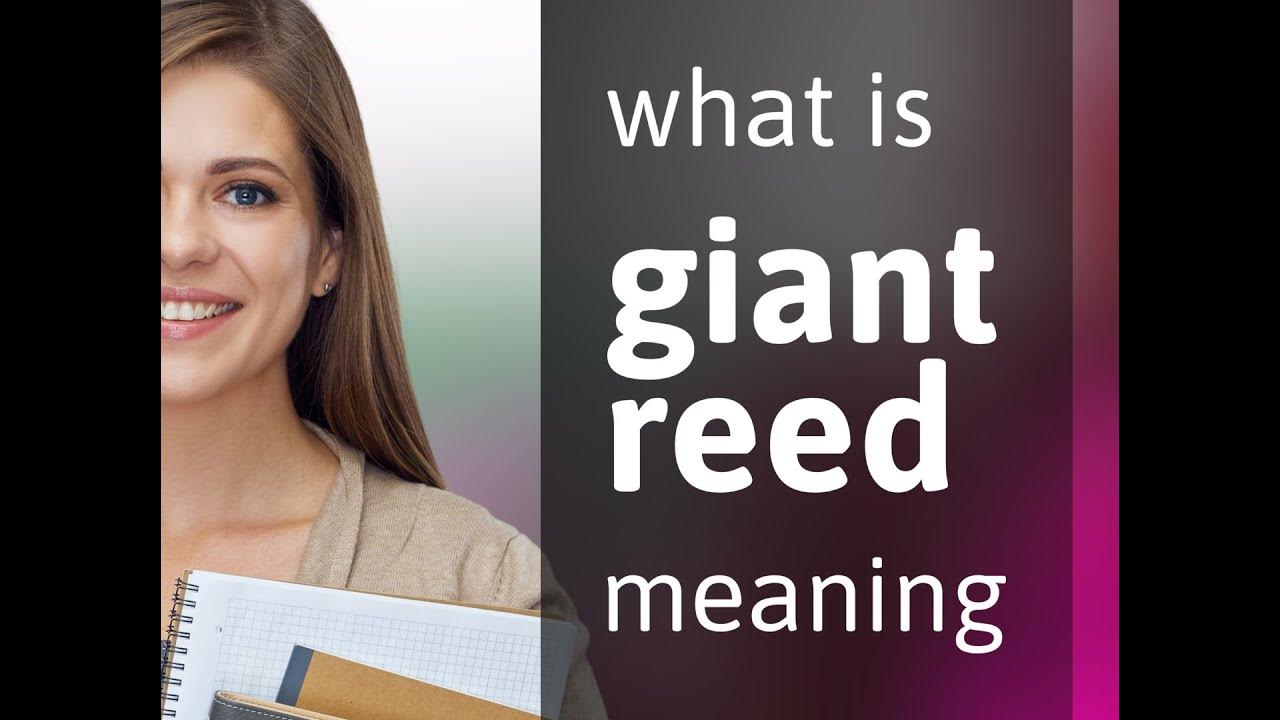 Giant reed • GIANT REED meaning YouTube