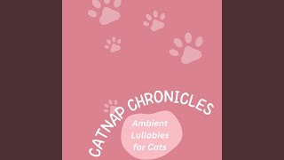 Catnap Echoes