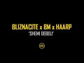 BLIZNACITE & BM & HAARP - SHEMI DEBELI | Official Audio 🎶