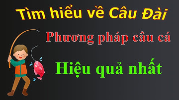 Câu Đài Là Gì? Tìm Hiểu Trong 5 Phút
