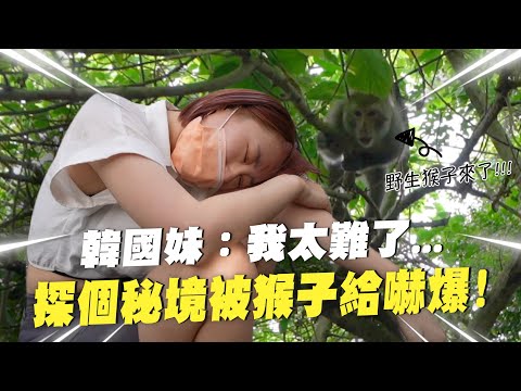 高雄竟然有這麼狂的野生猴子...太驚嚇了吧！吃吃喝喝的高雄三天兩夜旅行Vlog｜韓國女生咪蕾
