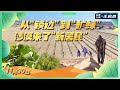 LIVE: From Desert Barrier to Green Expansion: The Secrets of the Desert's New Residents