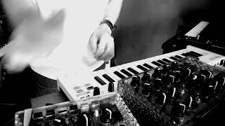 Mutable Instrument Anushri - DIY - Mono synth Drum Machine