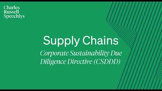 The CSDDD Post-Omnibus: What Corporates Need to Know About Supply Chain Due Diligence