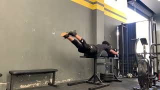 GHD Reverse Hip Extension