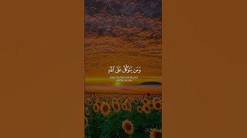 تلاوة خاشعة بصوت جميل  | القارئ