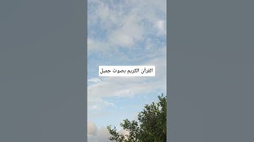 القرآن الكريم بصوت جميل #quran #اكسبلور #qoraniyat423 #qoraniyat421 #لايك #راحة_نفسية