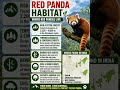 Red Panda Habitat Explained 🌿🐼 #WildlifeShorts #upsc