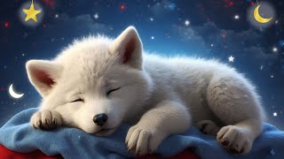 Sleep In 5 Minutes  Mozart Lullaby  Sleep Music  Sleeping Music for Deep Sleeping #7