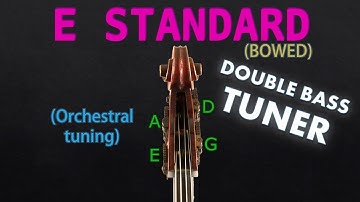 Double Bass - Standard Tuning (BOWED) (Tuner)