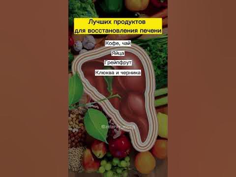 Лучших продуктов для восстановления печени - YouTube