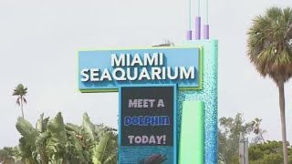 Miami Seaquarium operator plans to respond to notice of lease termination
