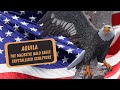 Aquila the Majestic American Bald Eagle Crystallized Sculpture