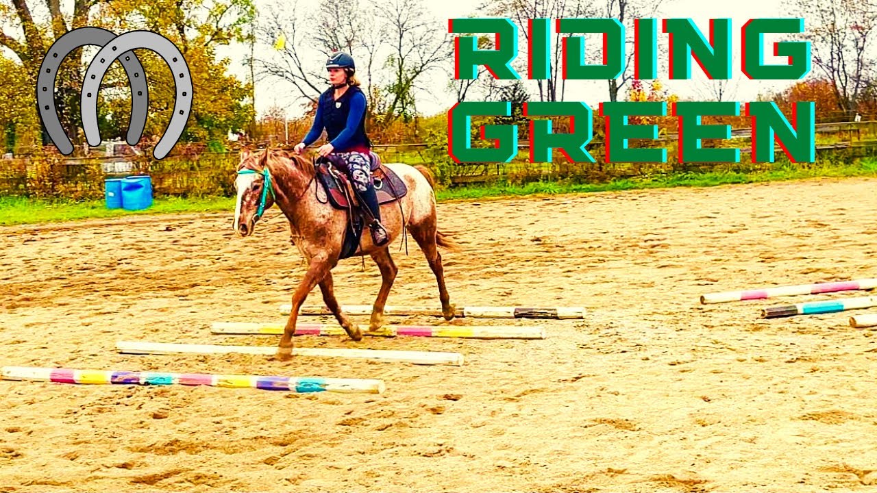 RIDING MY GREEN POA PONY|TALKING, TIPS, & MORE - YouTube