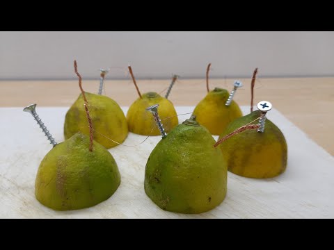 Video: Cómo hacer una batería con un limón