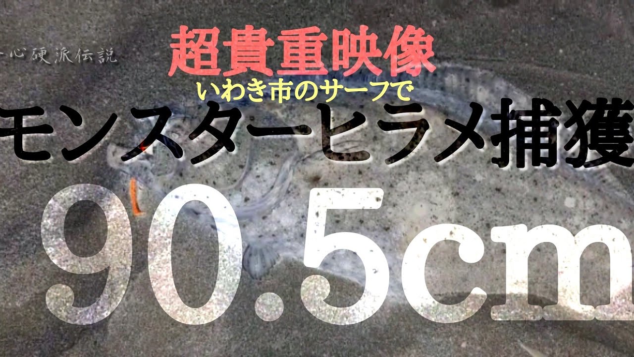 座布団ヒラメ捕獲！！90オーバーいわき市サーフ