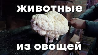 Немного Юмора