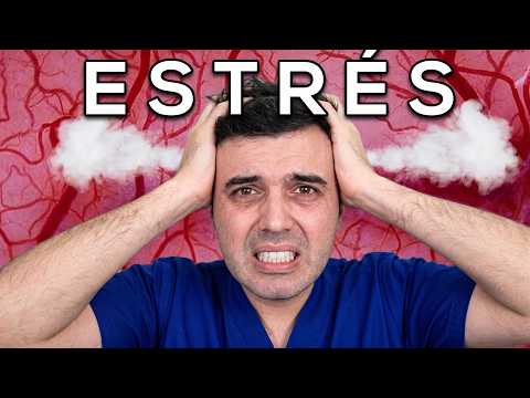 7 Enfermedades que el ESTRÉS provoca en tu cuerpo y cómo evitarlas