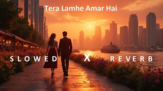 Tera Lamhe Amar Hai 💝 (Slowed Reverb) |New Heart Touching Romantic | Bollywood 2025 Chill Vibes
