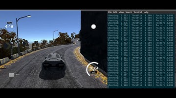Behavioral Cloning | Udacity Self Driving Car ND