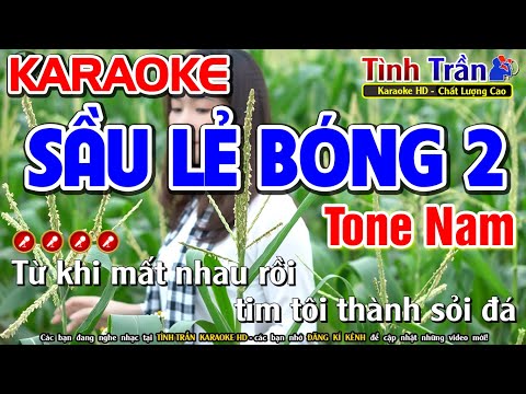 Sầu Lẻ Bóng 2 Karaoke Nhạc Sống Tone Nam ( Dm ) - Tình Trần Organ