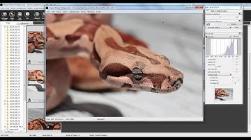 Post Processing with  DPP