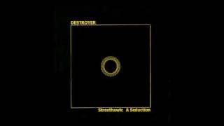 Destroyer - The Sublimation Hour chords