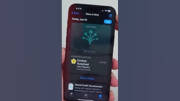 iOS 17 Beta 2 | mental health features!