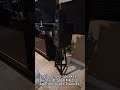Aperion Audio RST Super Tweeter Speaker + Buchardt Bookshelf Speaker