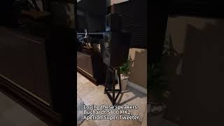 Aperion Audio RST Super Tweeter Speaker + Buchardt Bookshelf Speaker