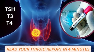 Thyroid Tests Explained: How to Read Your Thyroid Blood Tests