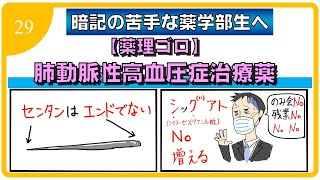 【薬理ゴロ】肺動脈性高血圧症治療薬