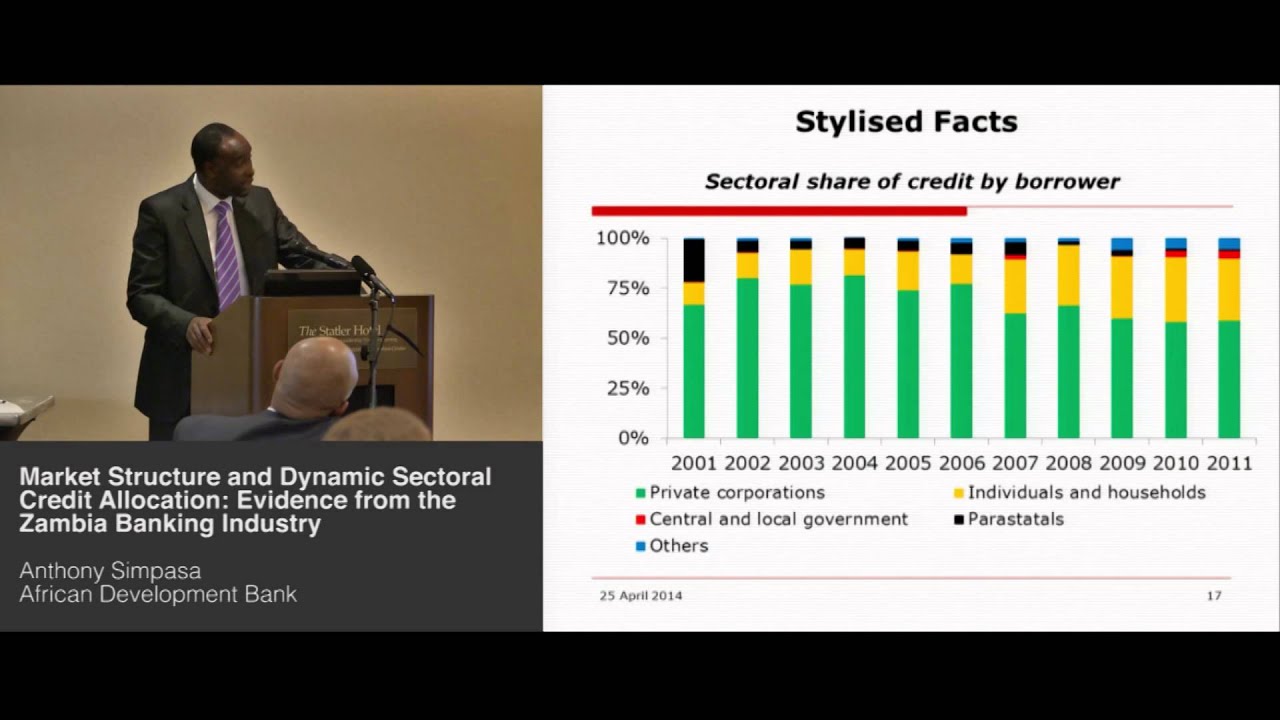 Still from Anthony Simpasa - Market Structure & Dynamic Sectoral Credit Allocation: Zambia
