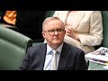 ‘Chaos and mismanagement’ of national security under Albanese continues