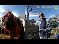 This "vicious dog" won't let her fix the fence.