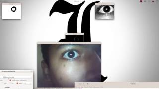 Pupil Tracking