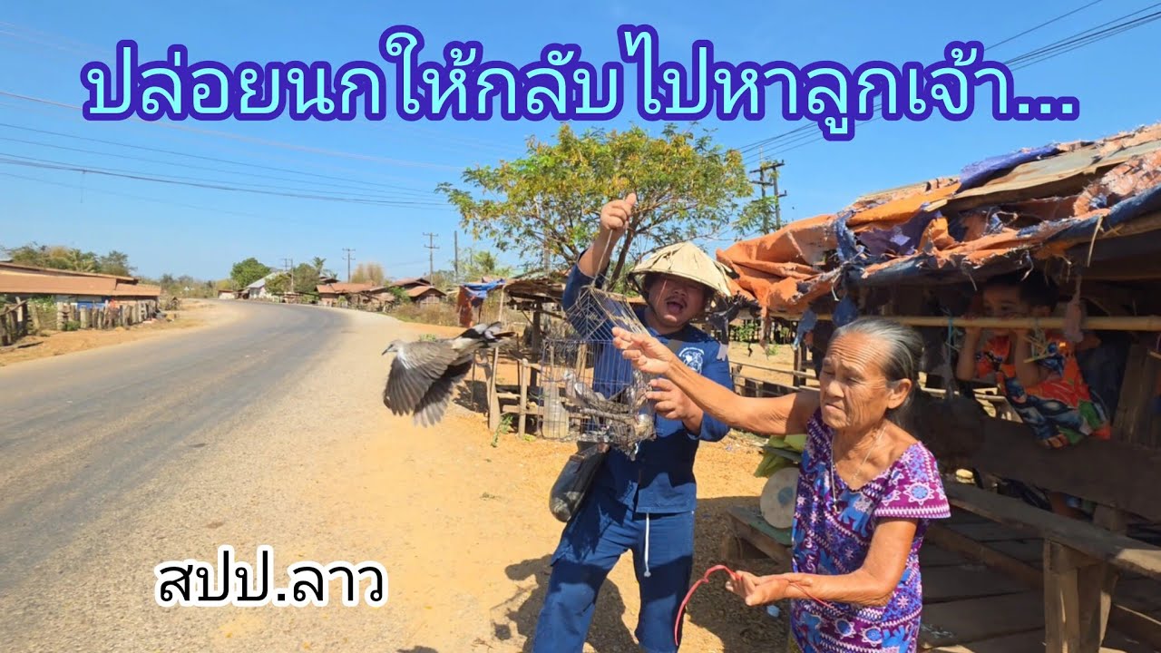 #เที่ยวลาว#วิถีชาวบ้าน#บรรยากาศการเดินทาง ปล่อยนก แบ่งขนมสิ่งของผู้คน มิตรภาพไทย-ลาว #สาวลาว#สปปลาว 