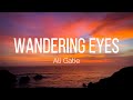 Ali gatie  wandering eyes lyrics