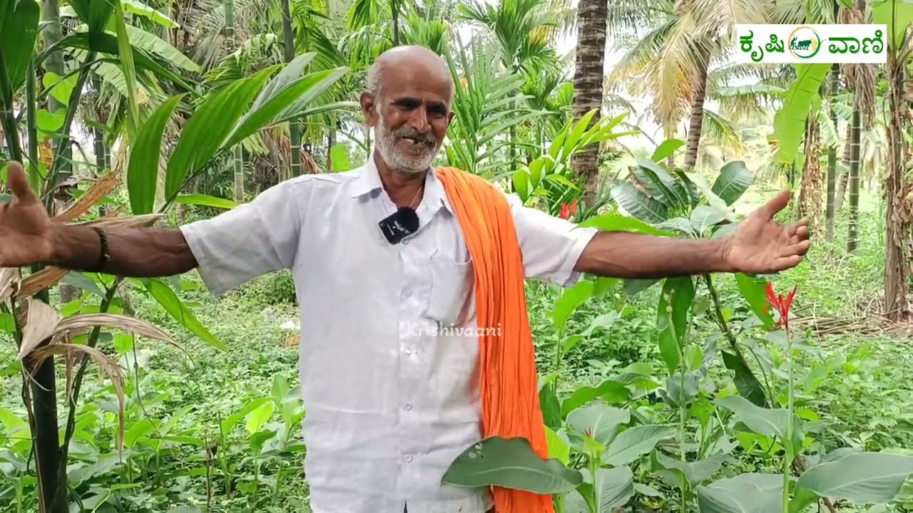 ಪಾಲೆಕರ್ ಪದ್ದತಿ ಅನುಸರಿಸಿ ನೈಸರ್ಗಿಕ ಕೃಷಿ ಮಾಡ್ತಿದ್ದೀನಿ ನನ್ನ ಹುಚ್ಚ ಅಂತಿದ್ರು  ಆದ್ರೆ ಈಗ  | Natural farming