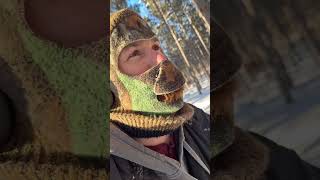 Tree EXPLODES While I’m Splitting Wood 😳 For licensing or usage, contact licensing@viralhog.com