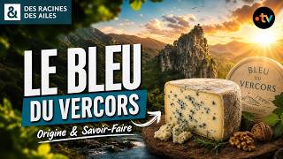 L’histoire et la création de la recette originale du bleu du Vercors ! | Documentaire | France TV