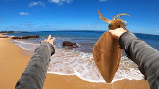 Giant Squid Frenzy from This Beach!!