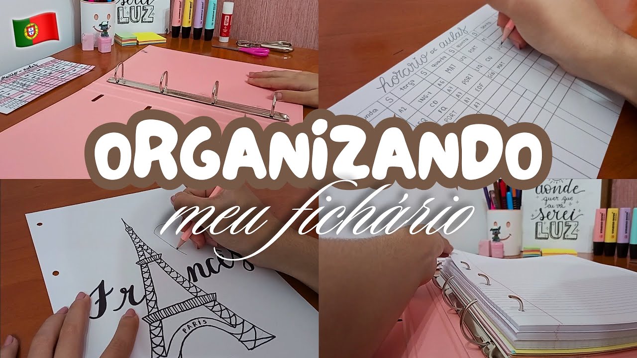ORGANIZANDO O MEU FICHÁRIO ♡ | volta ás aulas, organização & muito mais...