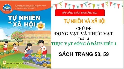 Tự nhiên và xã hội lớp 2  | Bài Thực vật sống ở đâu Tiết 1 |  Bài giảng chân trời sáng tạo
