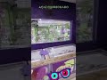 loja da caprichado Sorvetes e Açaí  venha conhecer a melhor loja da região