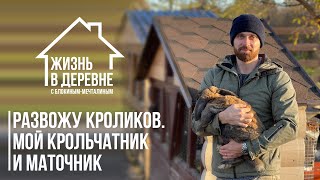 Развожу кроликов! Как выглядит мой крольчатник и маточник.